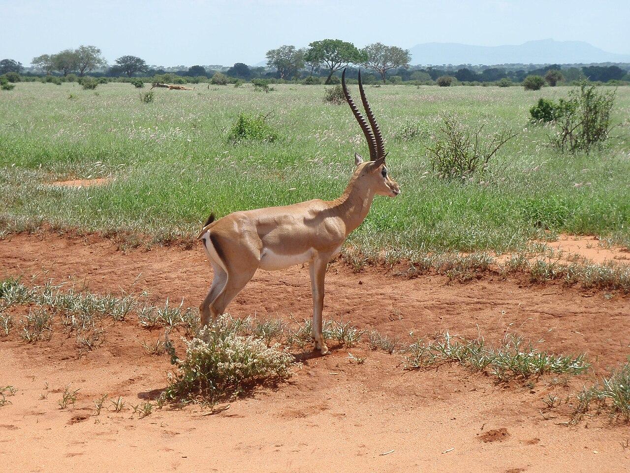 Coast Province, Kenya